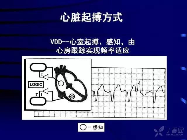 收藏