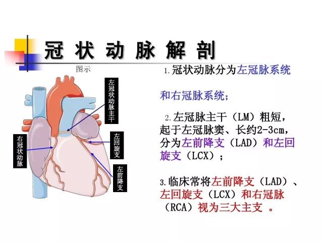 急性心肌梗死的识别