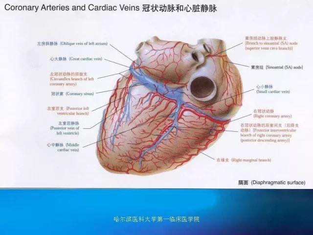 急性心肌梗死的心电图演变