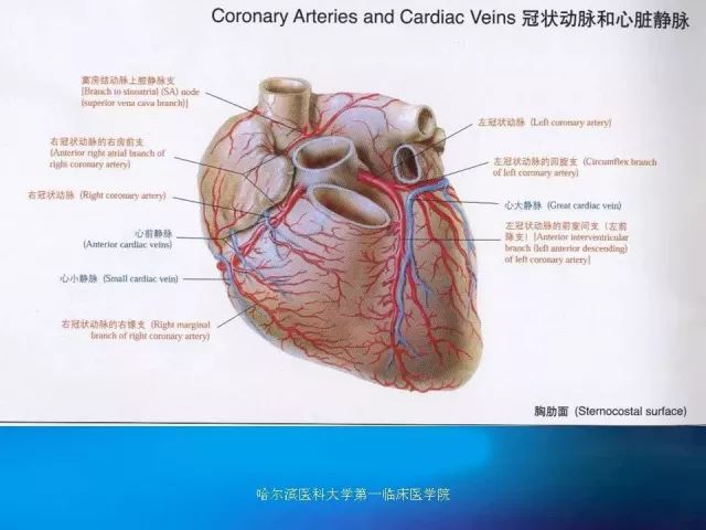 急性心肌梗死的心电图演变