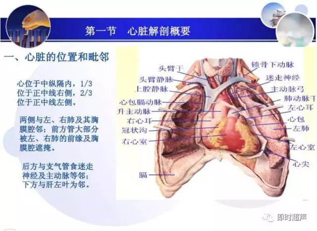 正常心脏超声诊断