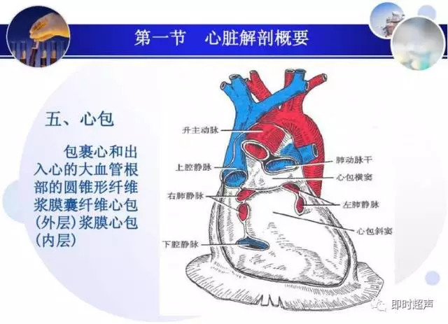 正常心脏超声诊断