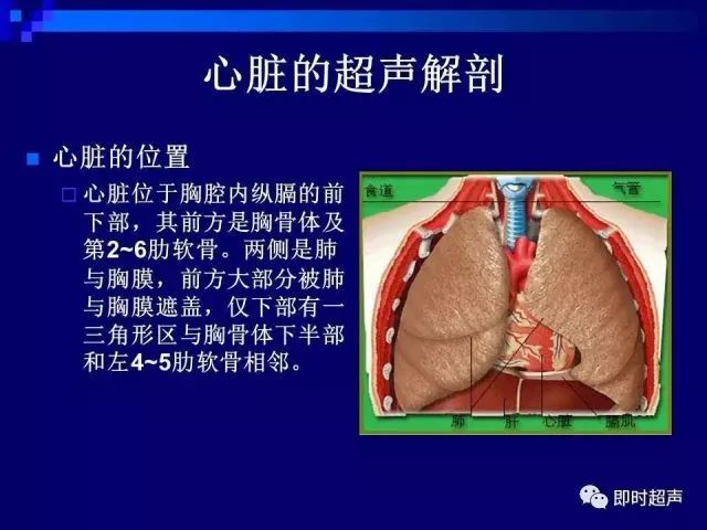 心脏超声解剖及正常声像图