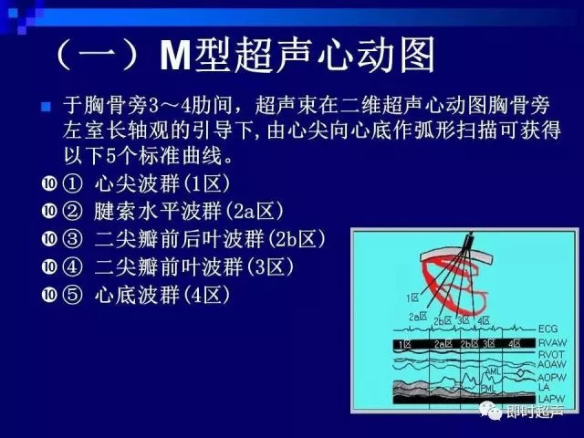 心脏超声解剖及正常声像图