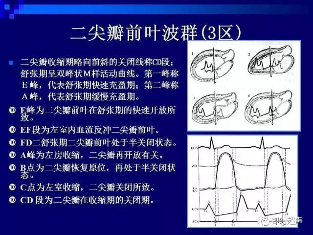 心脏超声解剖及正常声像图