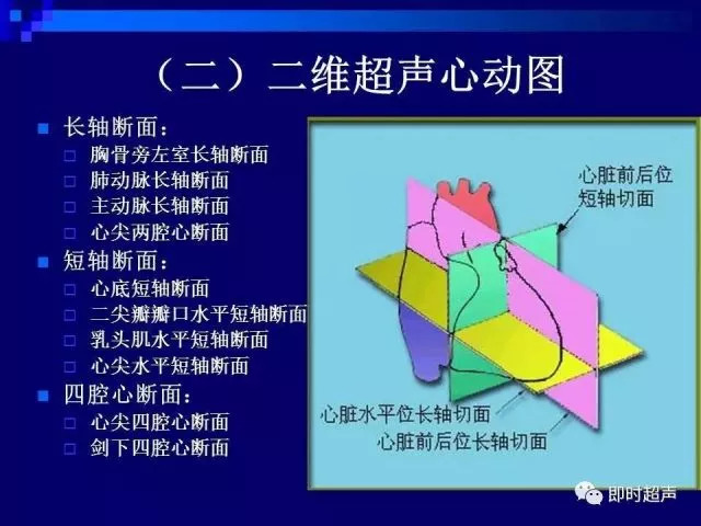 心脏超声解剖及正常声像图