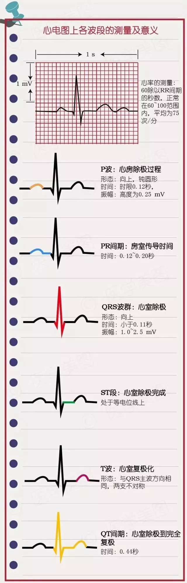 简易心电图教程（一）：如何看正常心电图