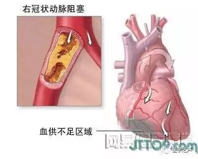 【收藏】史上最全的人体解剖全图