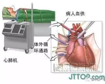 【收藏】史上最全的人体解剖全图