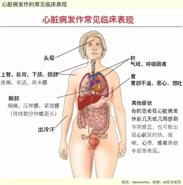 【收藏】55张医学美图讲述各种心脏疾病