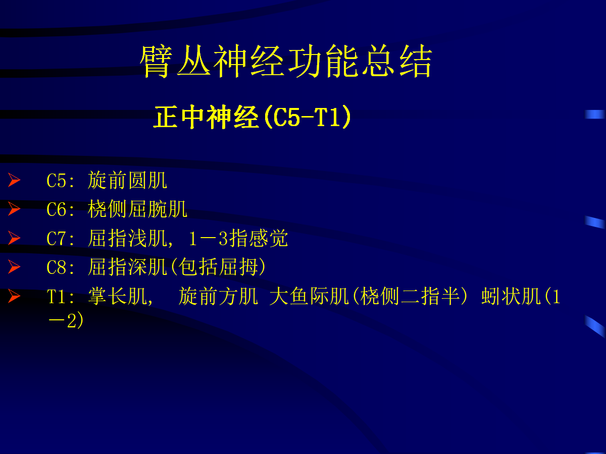 一篇掌握：臂丛神经的诊断与治疗技巧