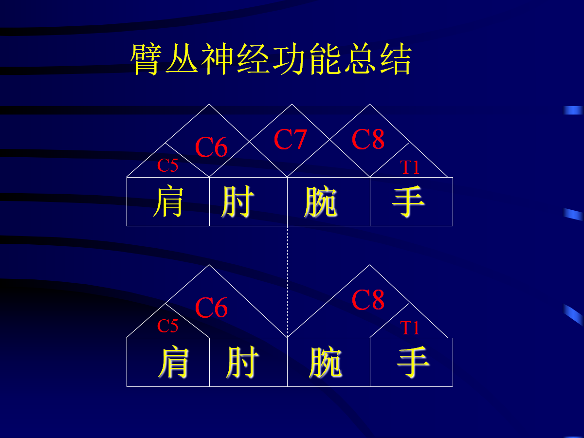 一篇掌握：臂丛神经的诊断与治疗技巧