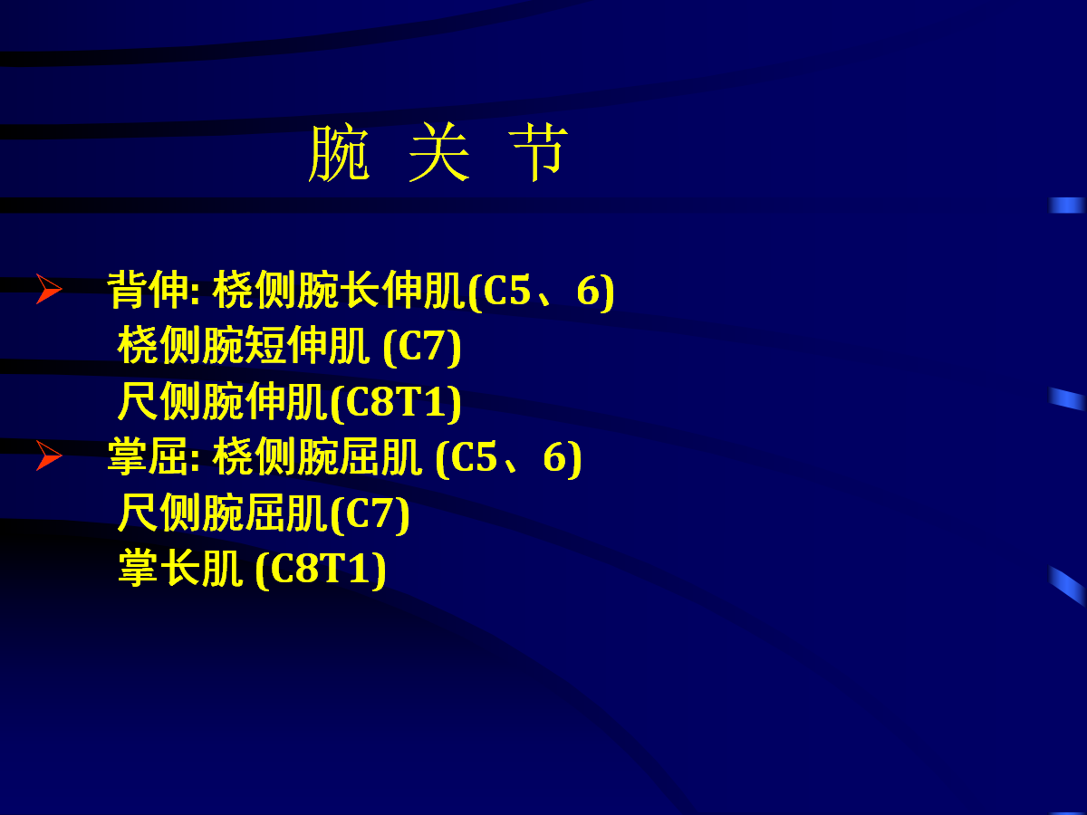 一篇掌握：臂丛神经的诊断与治疗技巧