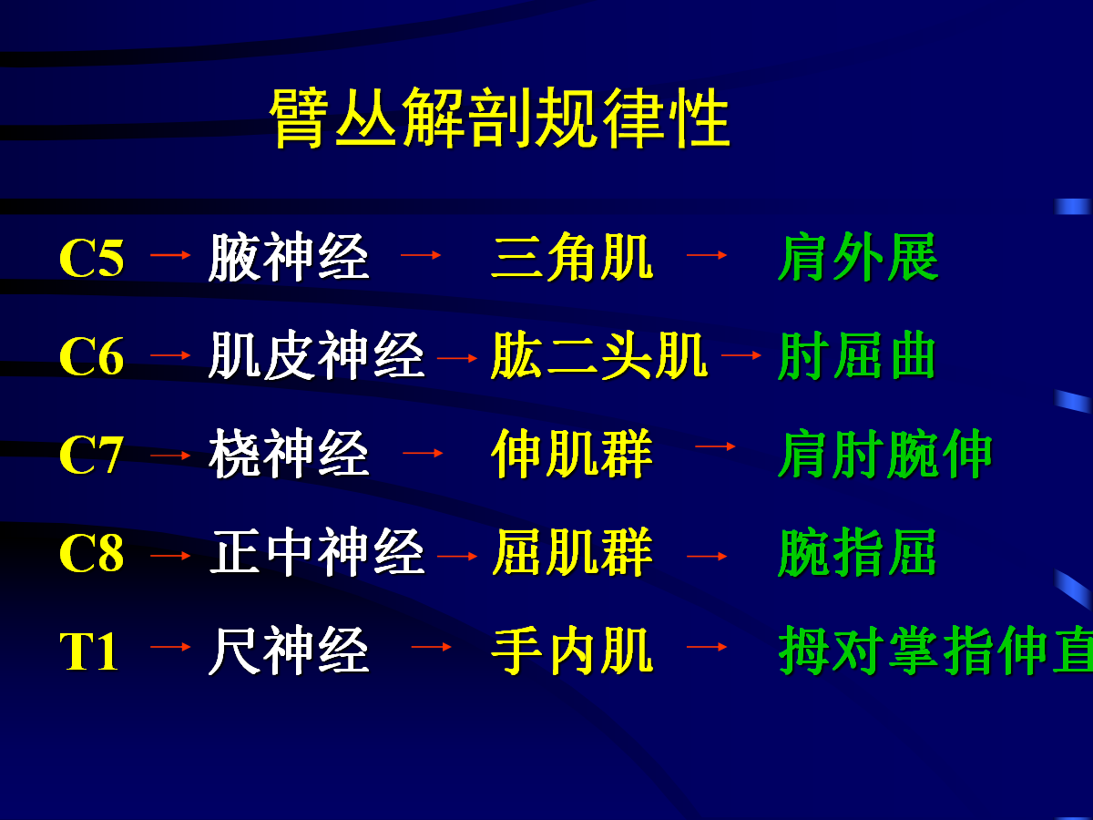 一篇掌握：臂丛神经的诊断与治疗技巧