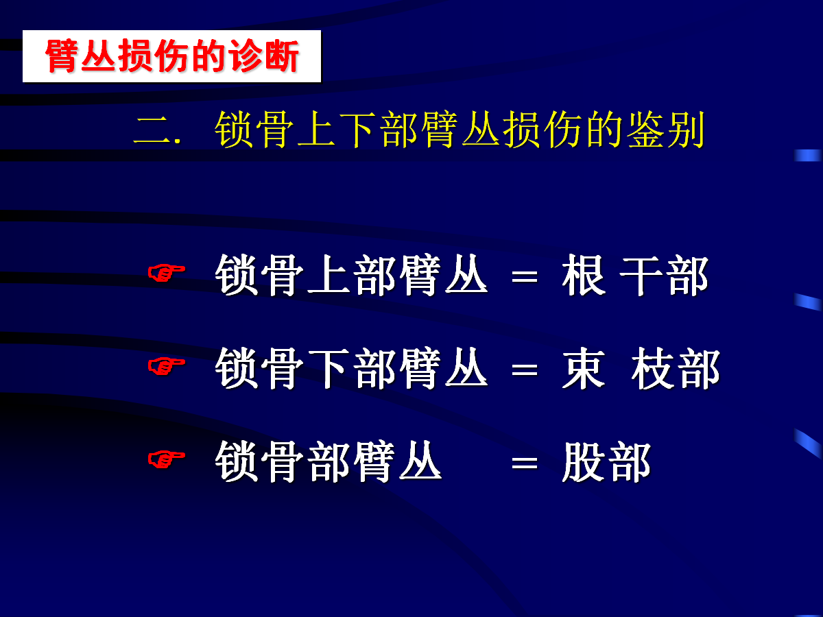 一篇掌握：臂丛神经的诊断与治疗技巧