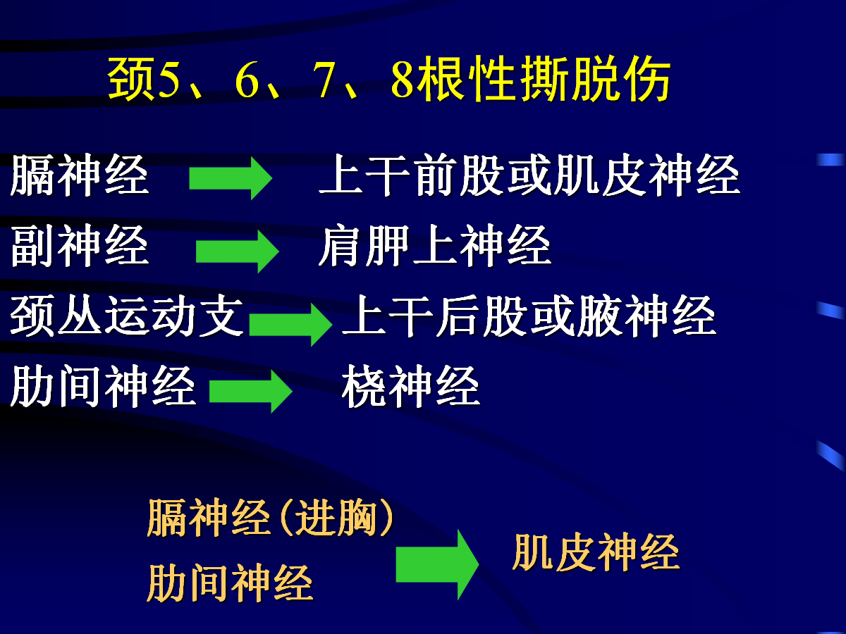 一篇掌握：臂丛神经的诊断与治疗技巧