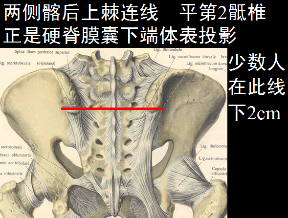 【值得分享】脊柱脊髓解剖（高清大图）