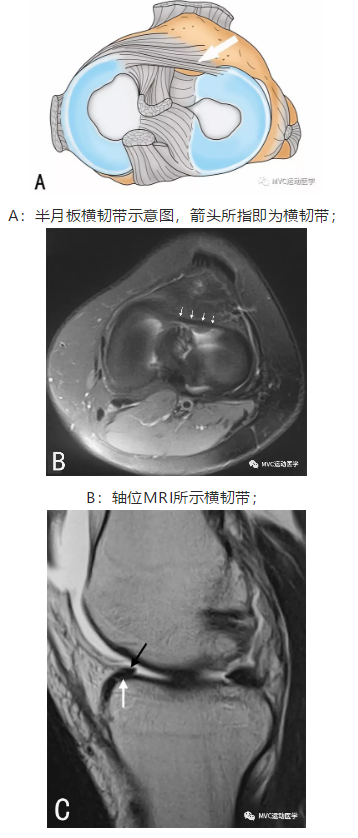 微信截图_20181018112612.png