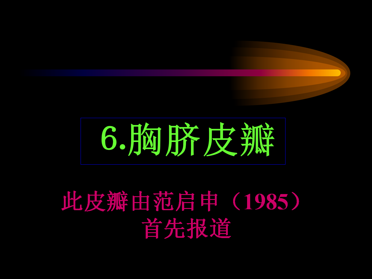 系统详解：骨科常用游离肌皮瓣及皮瓣！