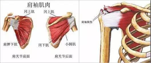 微信图片_20181228103900.jpg