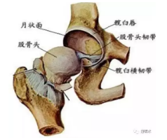 微信截图_20190108112526.png