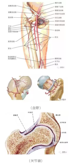 微信截图_20190108112535.png