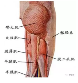 微信截图_20190108112831.png