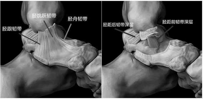 微信截图_20190116104939.png