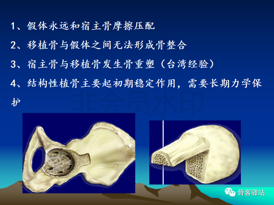 髋臼旋转中心图片