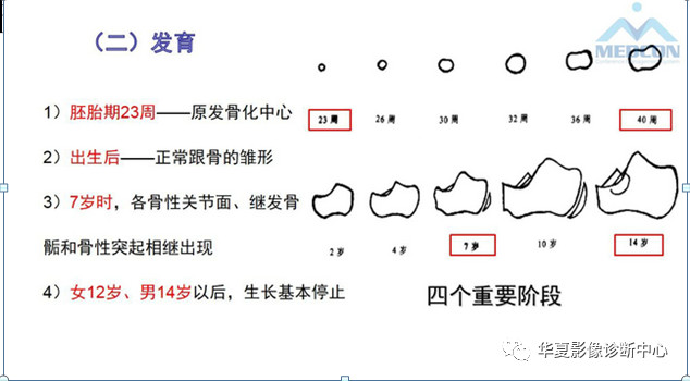 跟骨病变都在这里，赶快收藏吧！