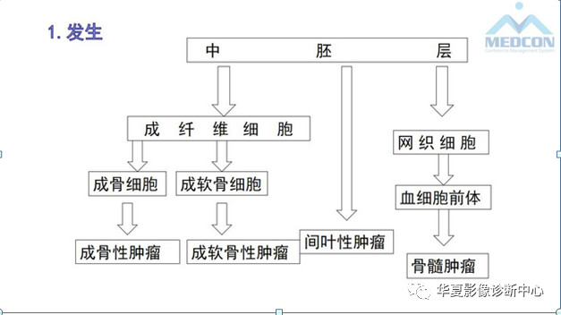 跟骨病变都在这里，赶快收藏吧！