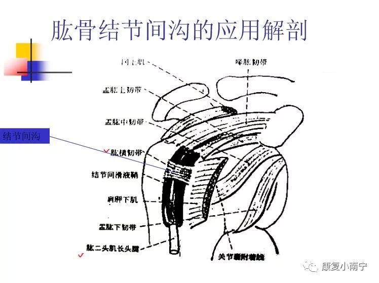 专业！Maitland手法治疗肩周炎，详细图文