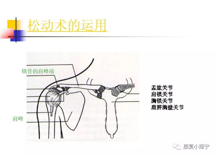 专业！Maitland手法治疗肩周炎，详细图文