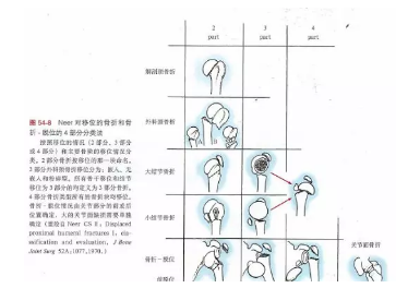 微信截图_20190226101952.png