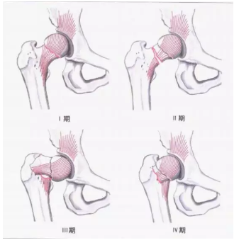 微信截图_20190226102002.png