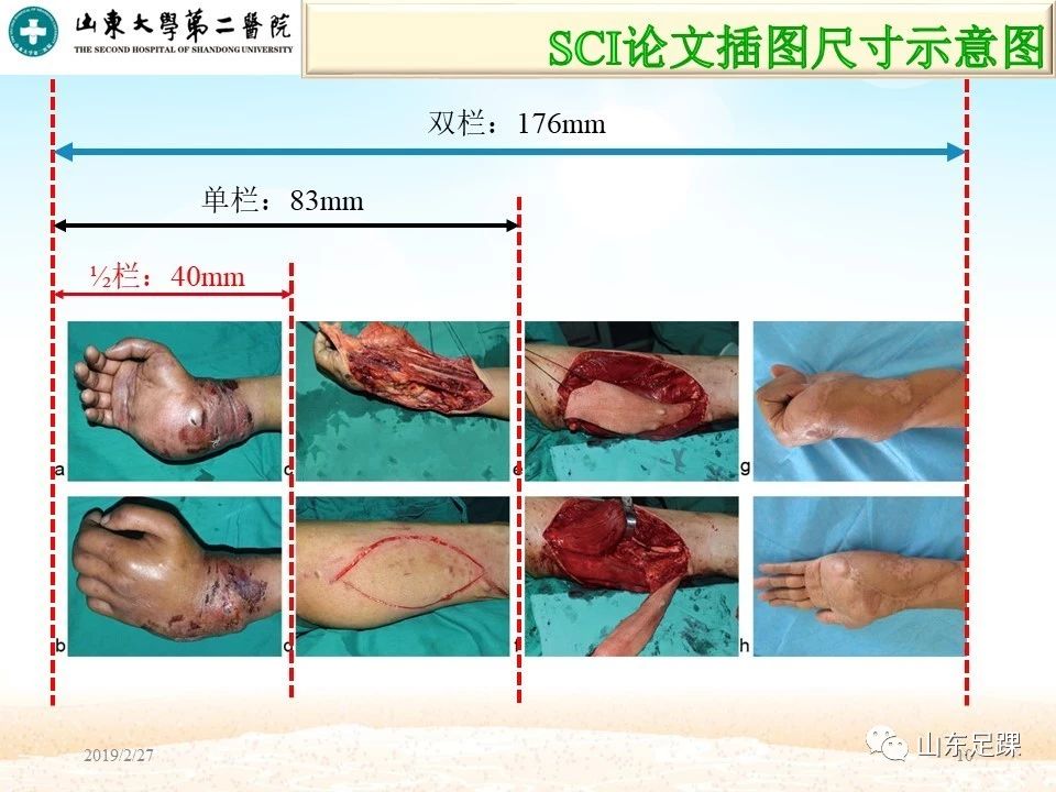 SCI论文图片编辑技巧，基础必备！