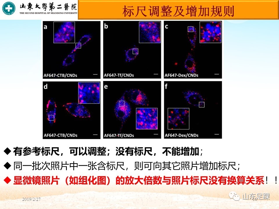 SCI论文图片编辑技巧，基础必备！