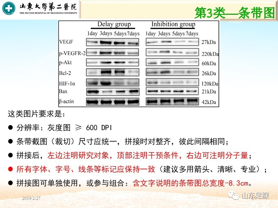 SCI论文图片编辑技巧，基础必备！