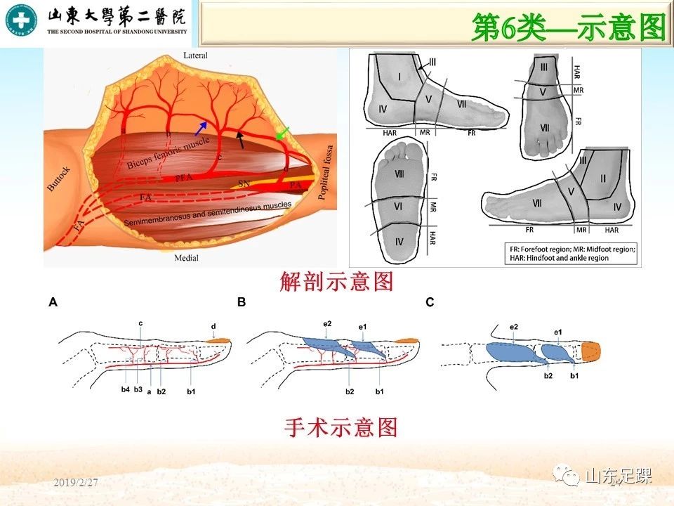 SCI论文图片编辑技巧，基础必备！