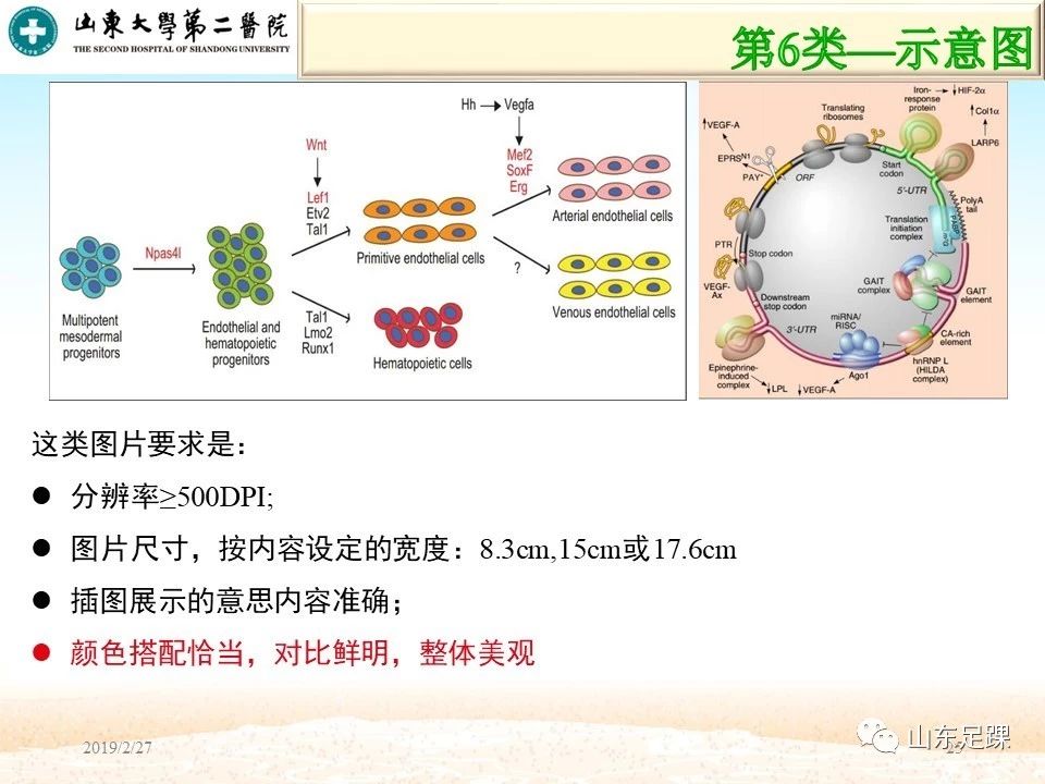 SCI论文图片编辑技巧，基础必备！