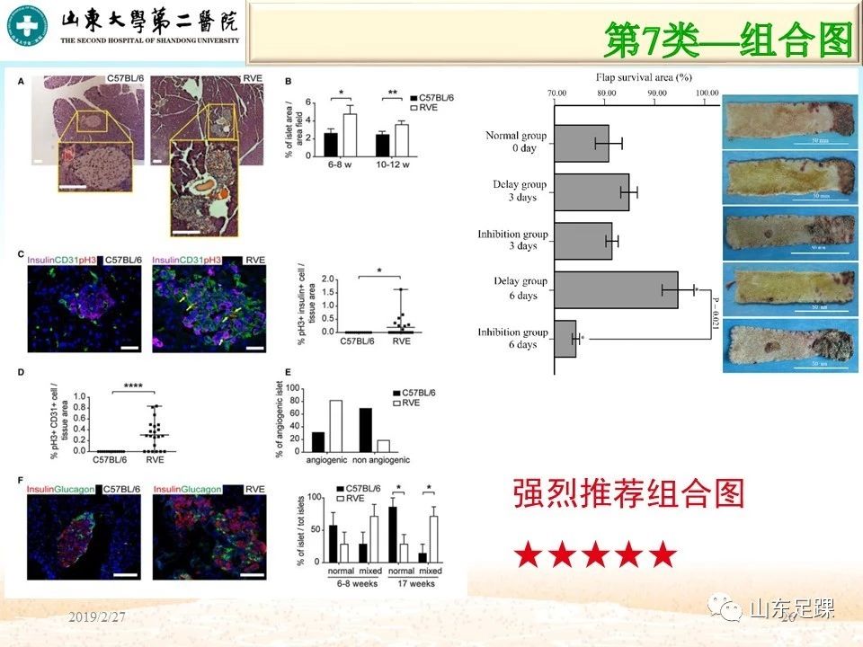 SCI论文图片编辑技巧，基础必备！