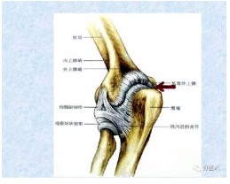 微信截图_20190304105815.png