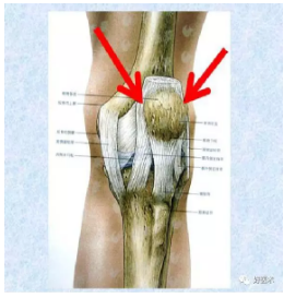 微信截图_20190304105835.png