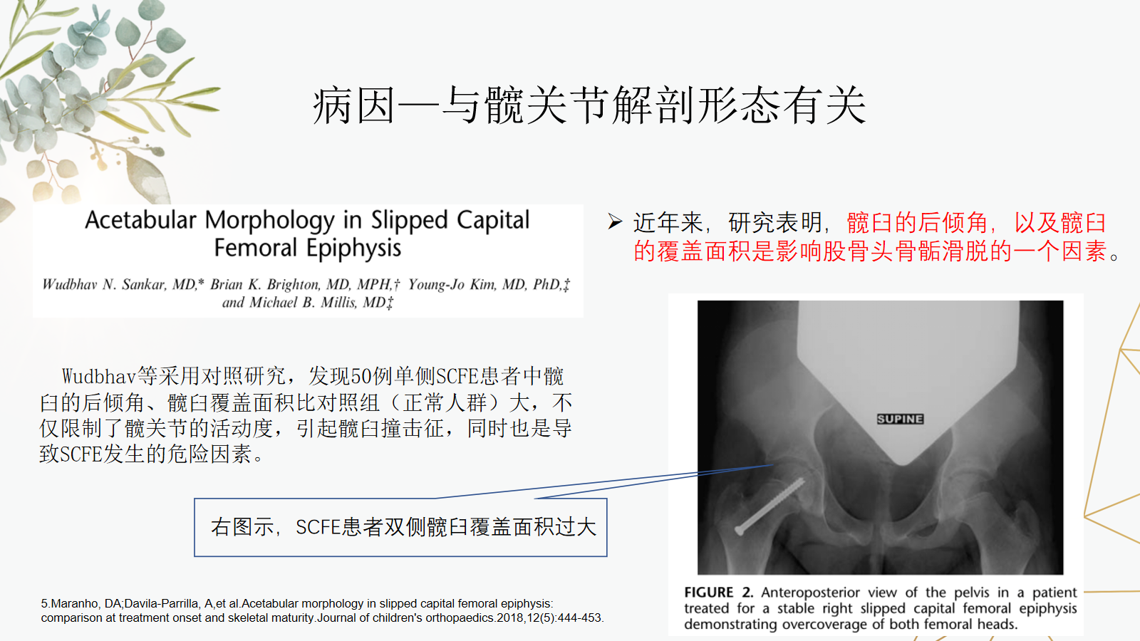 关于股骨头骨骺滑脱的诊治策略，这篇课件我打满分！