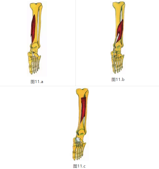 微信截图_20190319103641.png