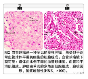 微信截图_20190408121026.png