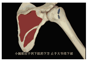 微信截图_20190415100726.png