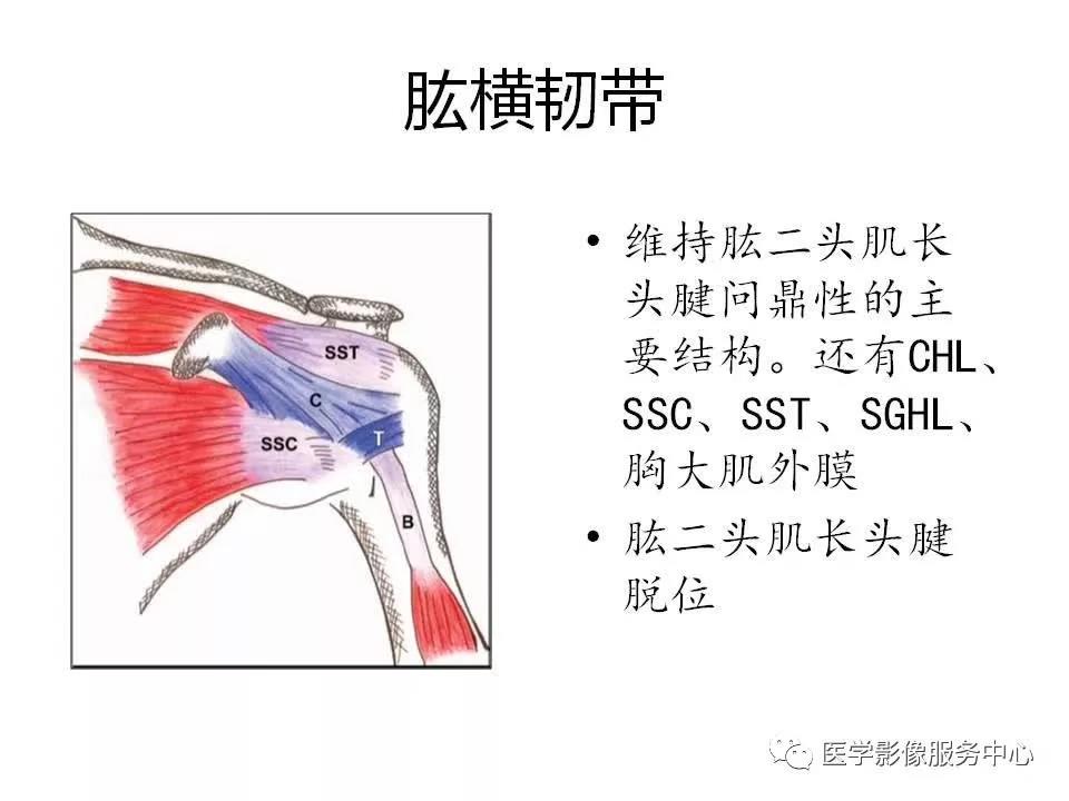 肩关节韧带及损伤的MR表现，都在这里了！