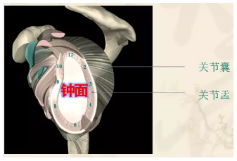 微信截图_20190507133757.png