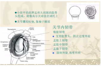 微信截图_20190507133805.png